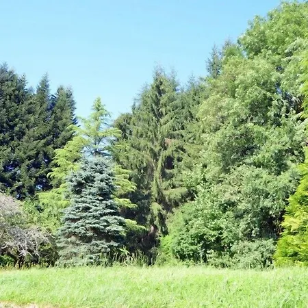 Logis La Source Du Mont Saint-Martin-Valmeroux